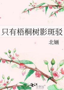 只有梧桐樹影斑駁