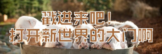 戳进来吧！打开新世界的大门啊